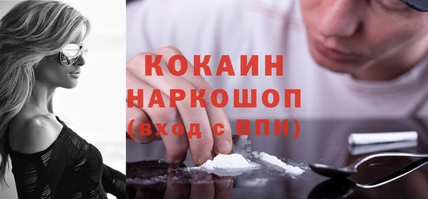 индика Богданович