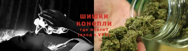 МДПВ Шали