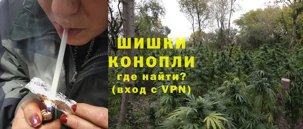 МДМА Бородино