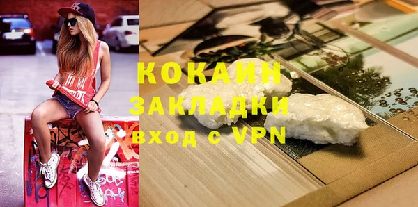 индика Богданович