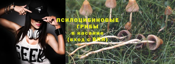 ГАЛЛЮЦИНОГЕННЫЕ ГРИБЫ Бугульма