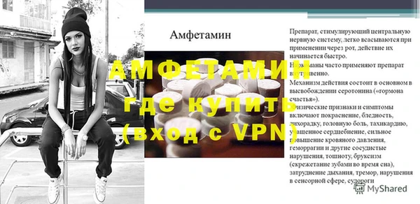 индика Богданович