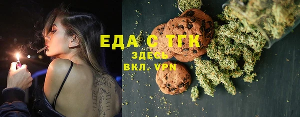 индика Богданович