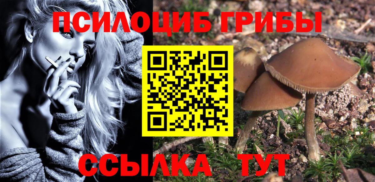 закладка  Вход с VPN  Новый Уренгой  Псилоцибиновые грибы ЛСД  Псилоцибиновые грибы мухоморы 